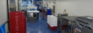 vloer voedselindustrie